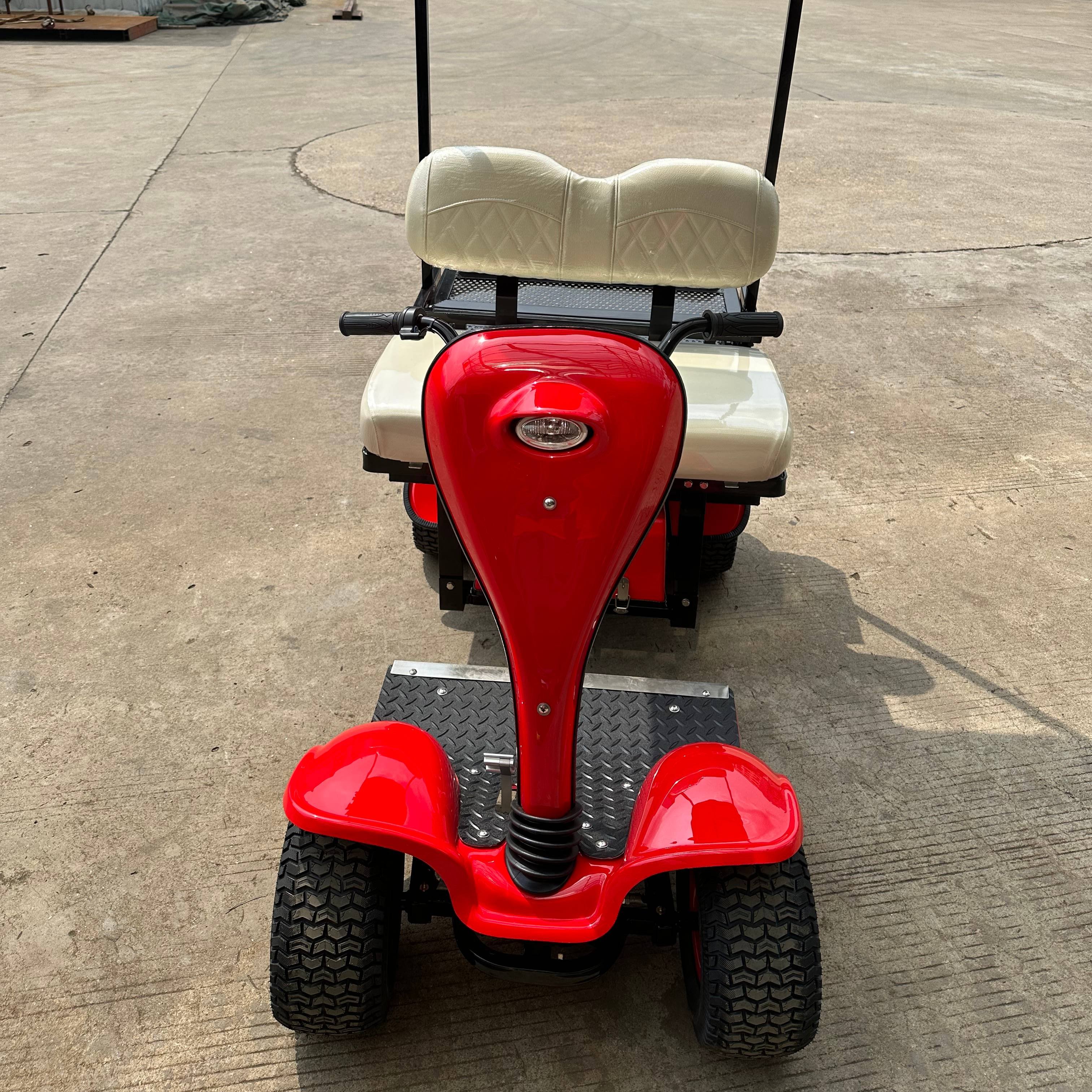 2024 2-Seater Mini Electric Golf Cart Mobility Scooter for Adult Golf Buggy